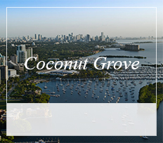 Coconut Grove